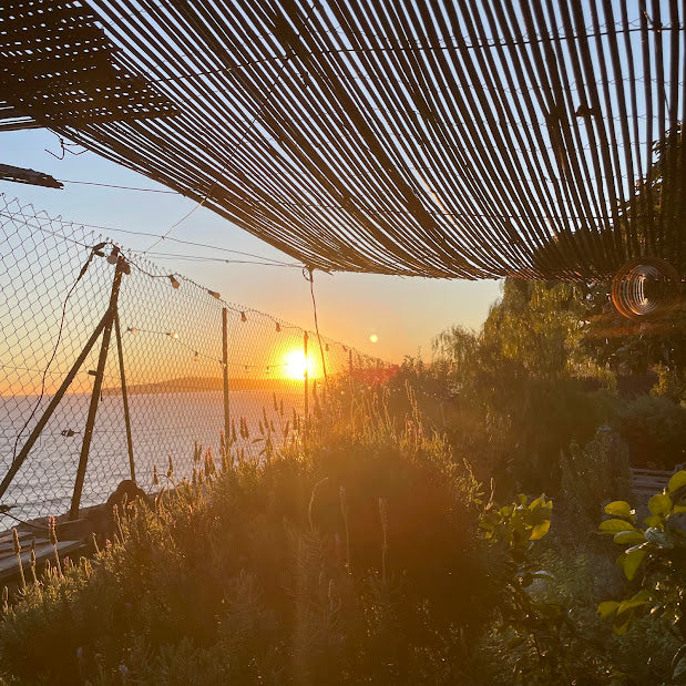 Coffret "Jardin d'été "