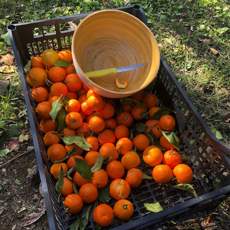 Tisane de verveine et zestes d'orange amère 60gr