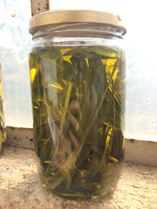 Macérât de plantain