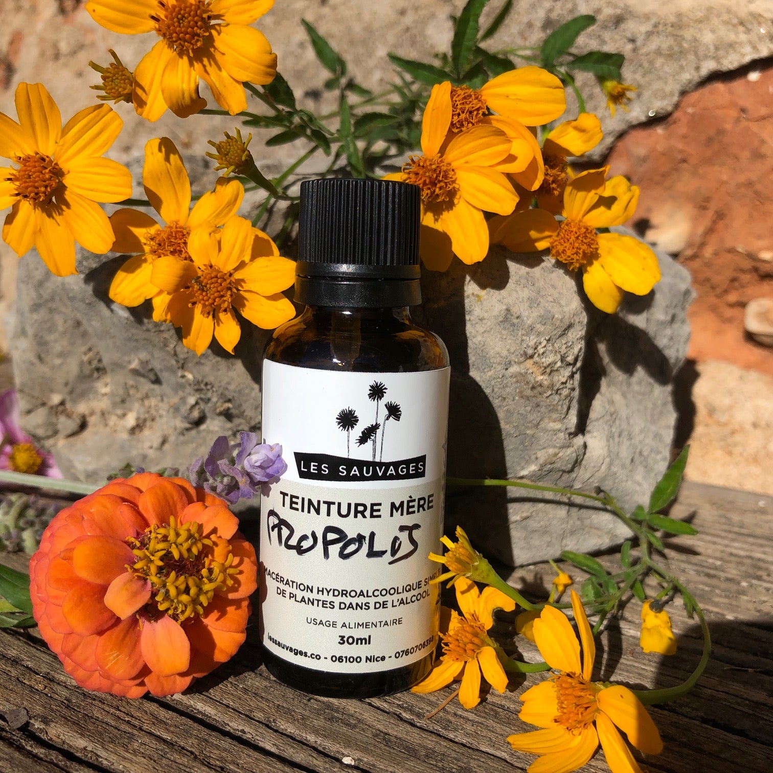 Extrait de Propolis