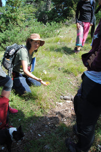 SORTIE: "À la découverte de la lavande sauvage et autres plantes en montagne" juin